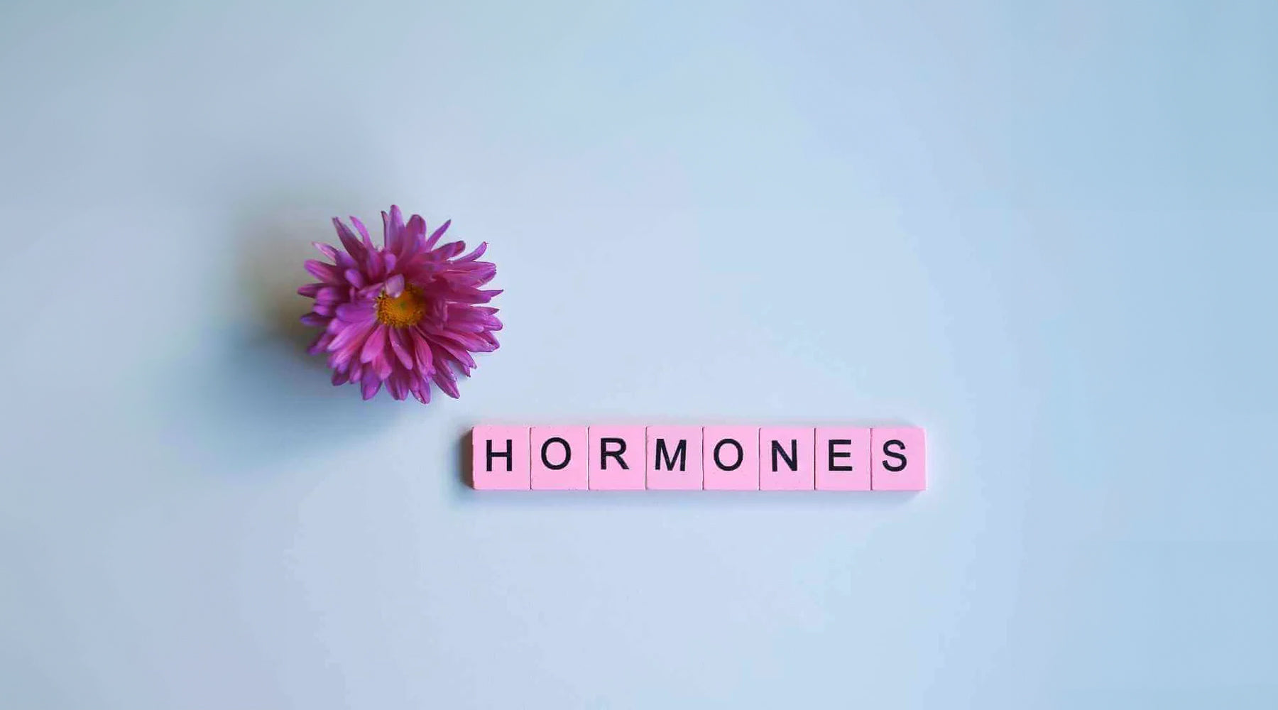 Hormone Harmony - Supplements To Balance Hormones – Temple of Vitality